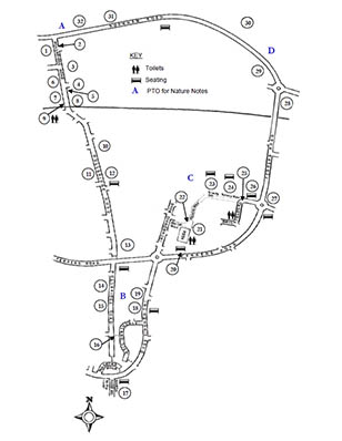 jubillee walk map