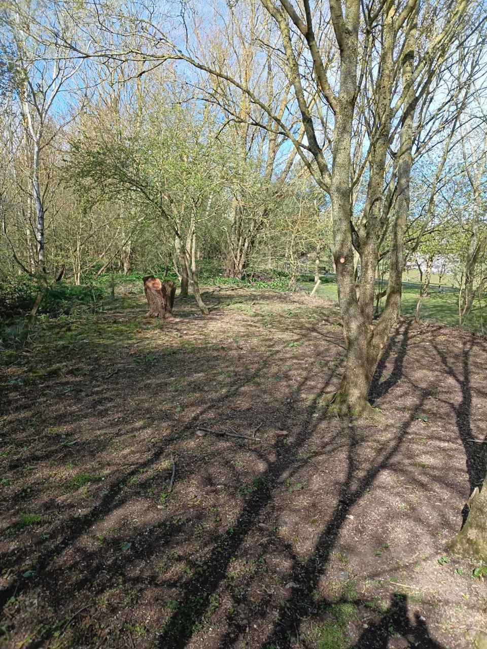 New Pet Scattering Copse opens